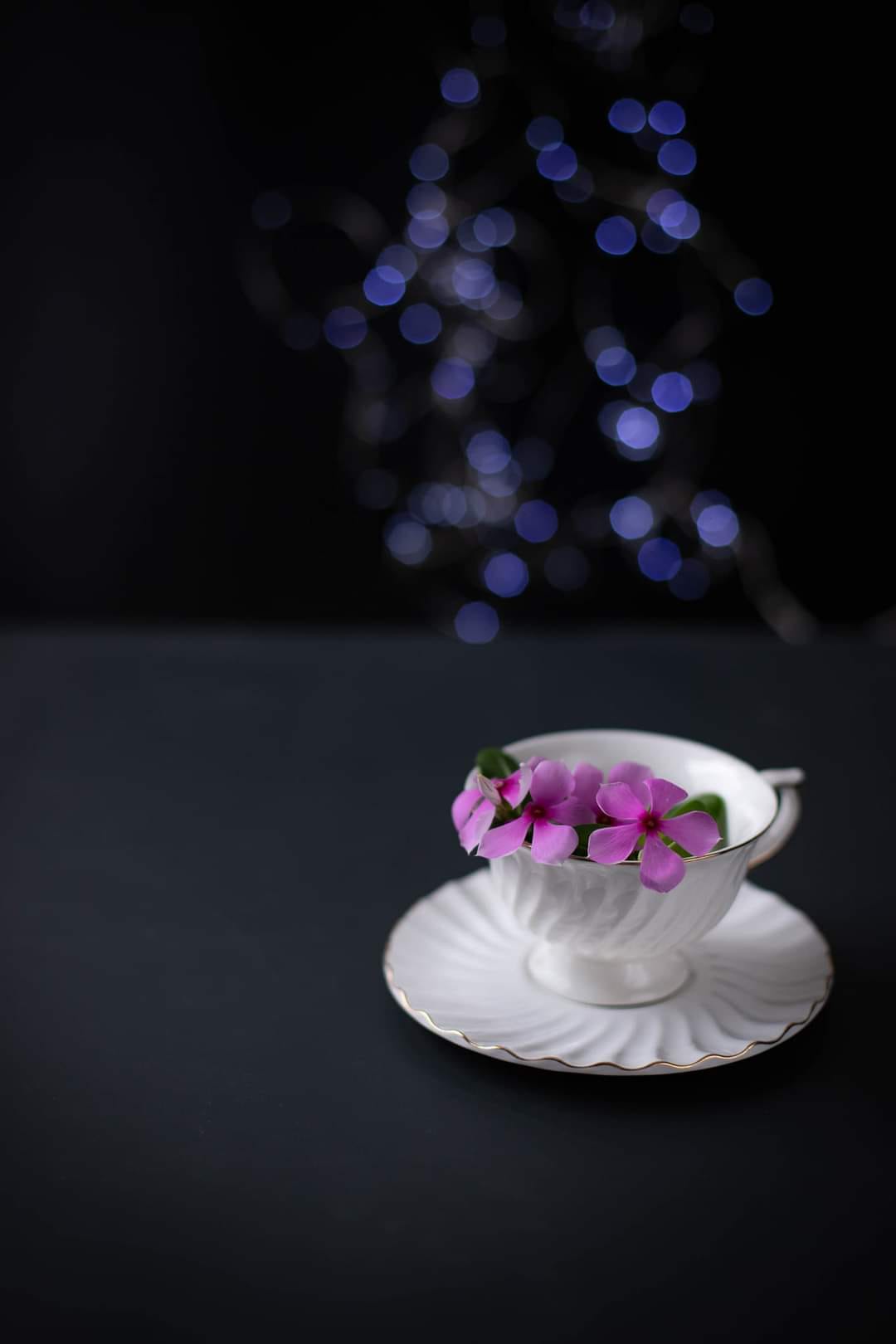 Pink flowers inside a tea cup